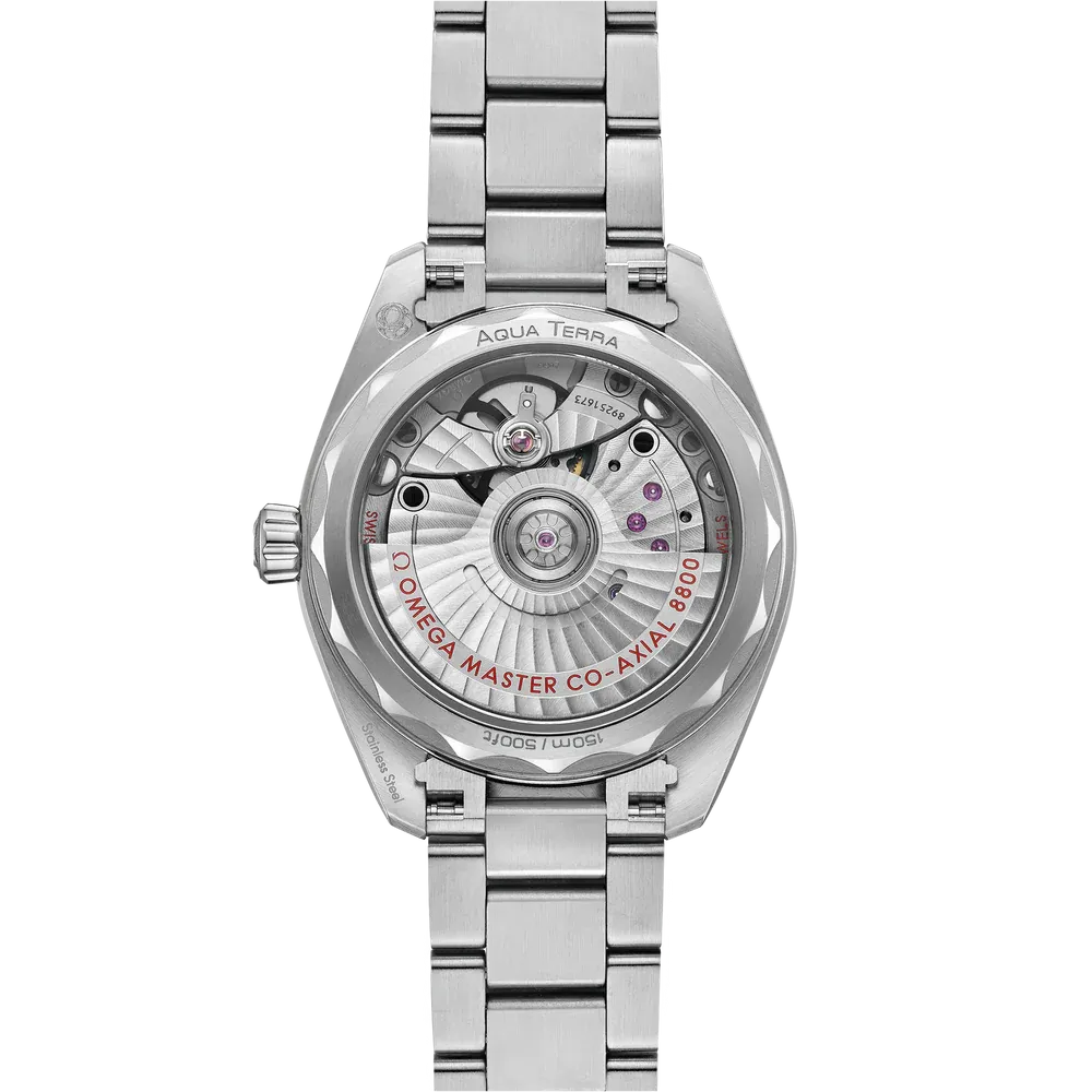 Omega Seamaster Aqua Terra 150M Watch 34mm Silver Dial 220.10.34.20.02.001