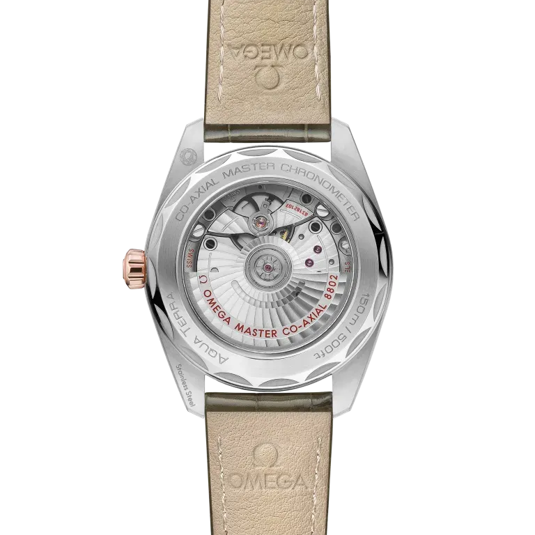 Omega Seamaster Aqua Terra 150M Watch 38mm 220.23.38.20.60.001