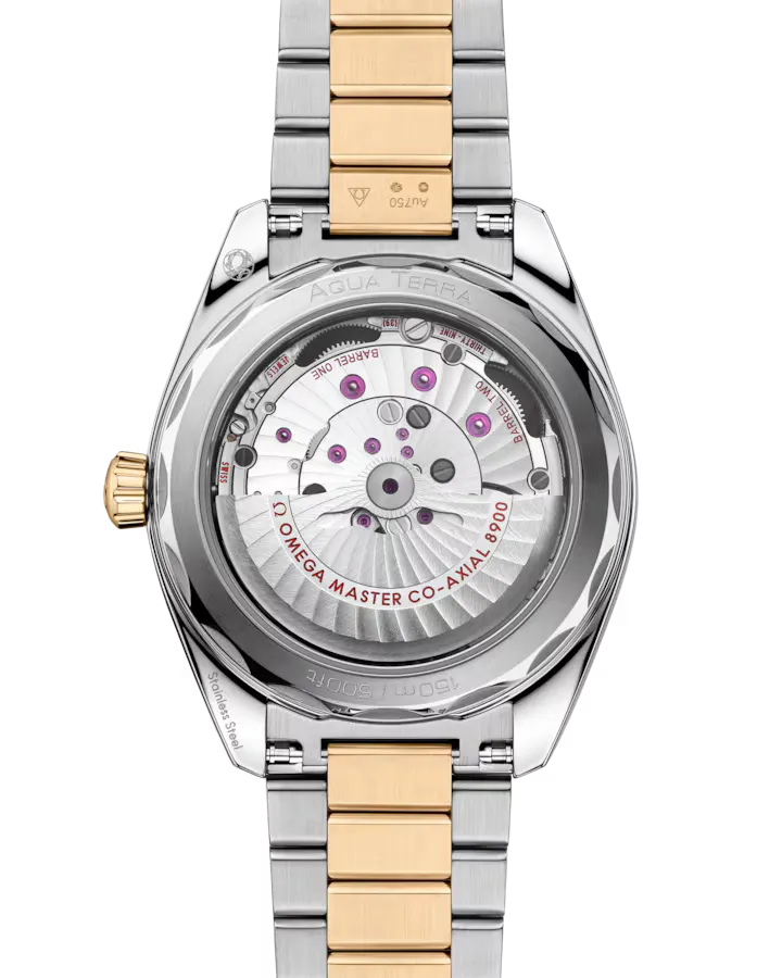 Omega Seamaster Aqua Terra 150M Watch 41mm 220.20.41.21.01.001