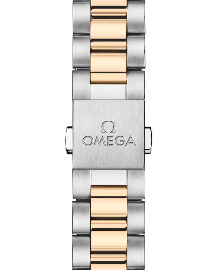 Omega Seamaster Aqua Terra 150M Watch 41mm 220.20.41.21.01.001