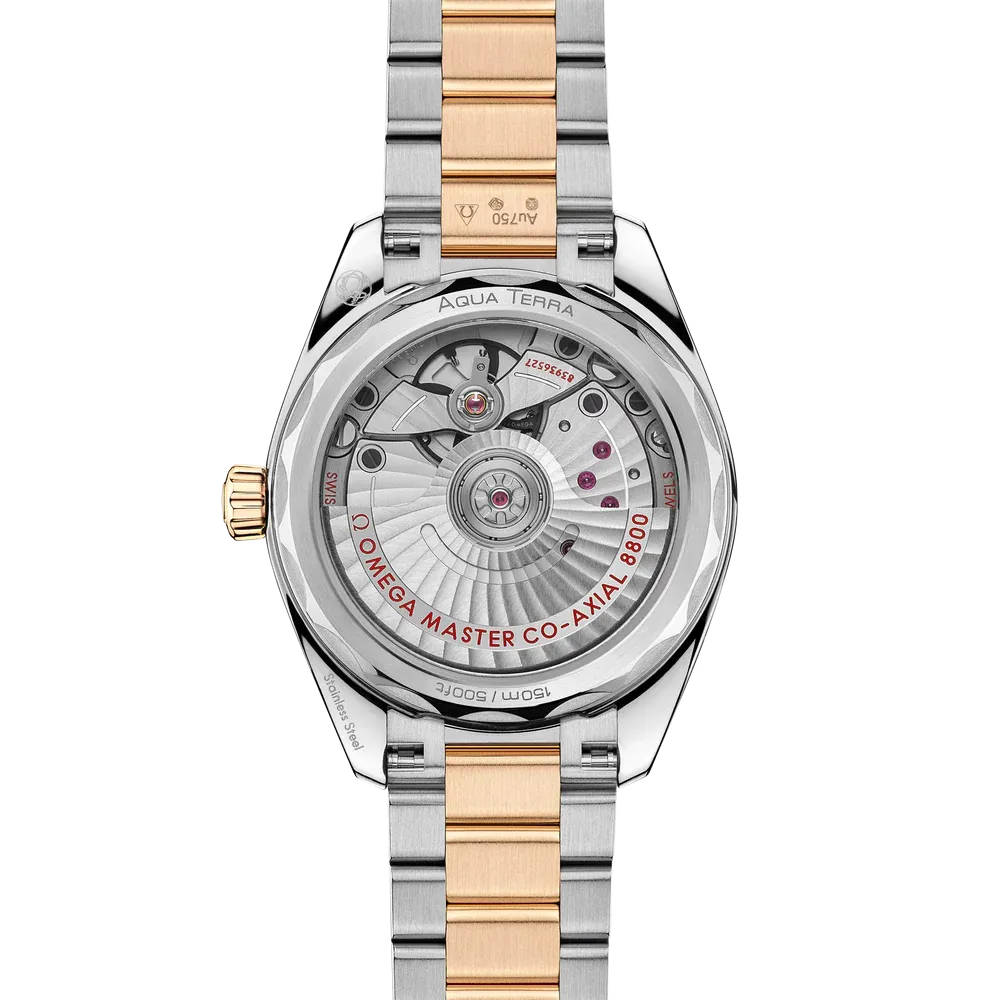 Omega Seamaster Aqua Terra Watch 34mm 220.20.34.20.08.001