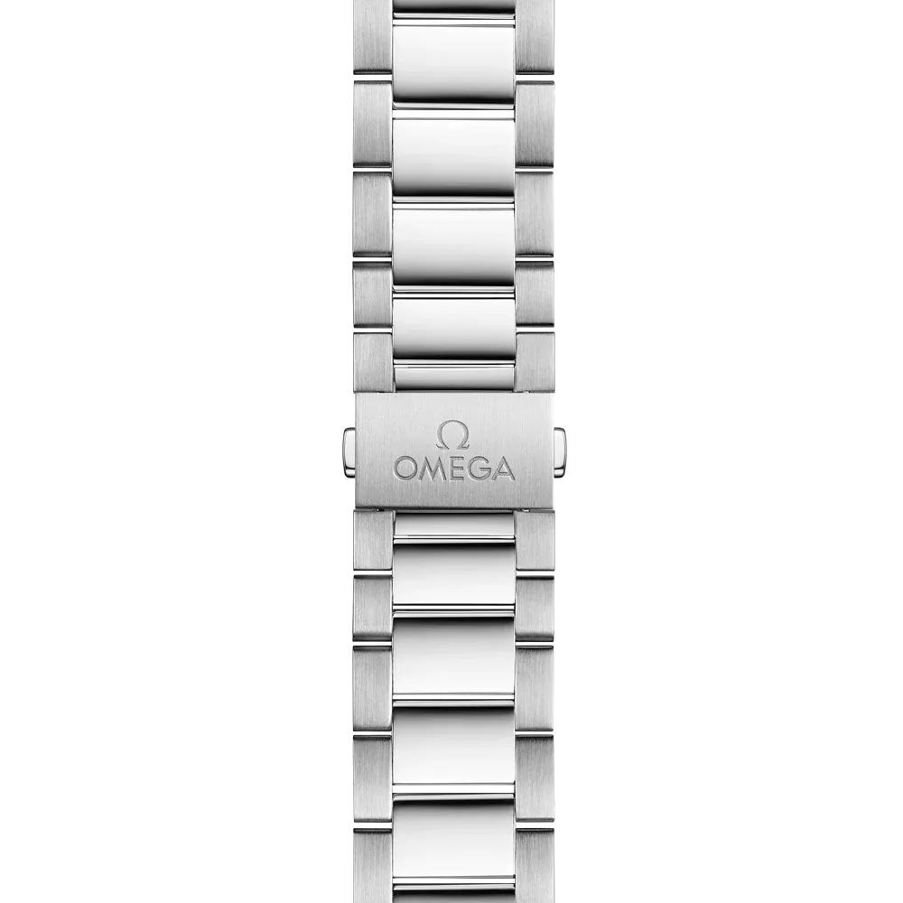 Omega Seamaster Aqua Terra Watch 41mm 220.10.41.21.02.002