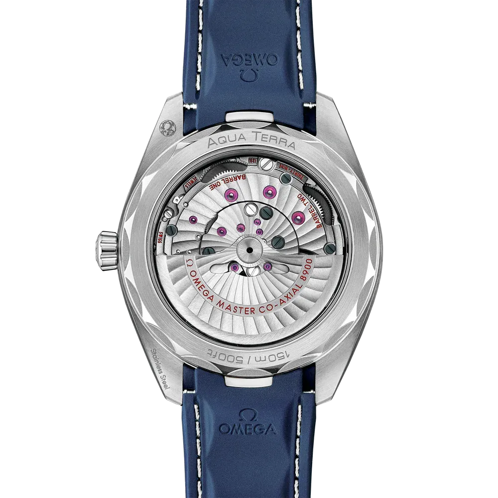 Omega Seamaster Aqua Terra Watch 41mm 220.12.41.21.03.007