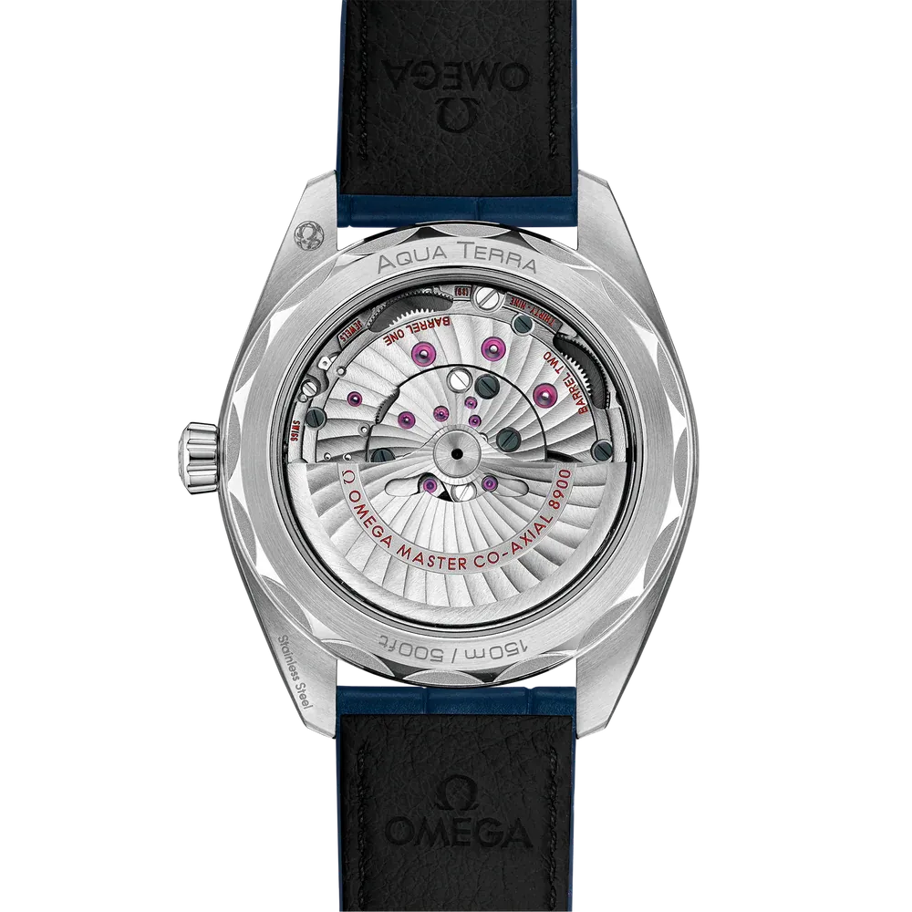 Omega Seamaster Aqua Terra Watch 41mm 220.13.41.21.03.003
