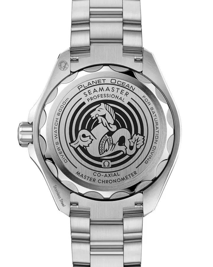Omega Seamaster Planet Ocean 6000M Watch 45.5mm 215.30.46.21.03.001