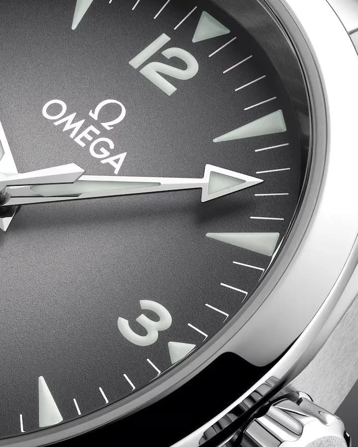 Omega Seamaster Railmaster Watch 38mm 235.10.38.20.06.001