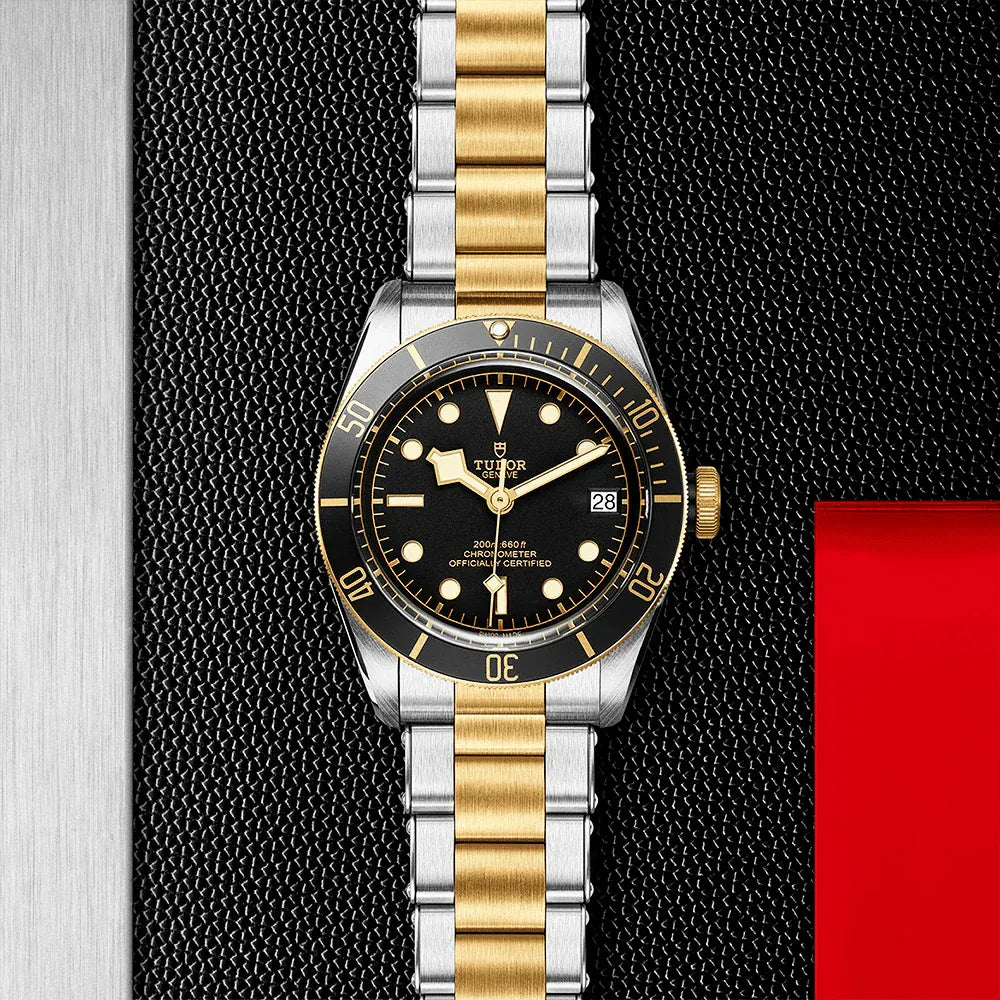 Tudor Black Bay S&G Watch 41mm M79733N-0008