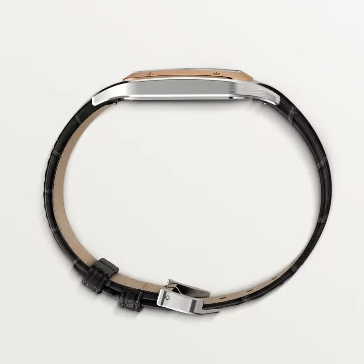 Cartier Santos-Dumont Watch 46.6mm W2SA0017