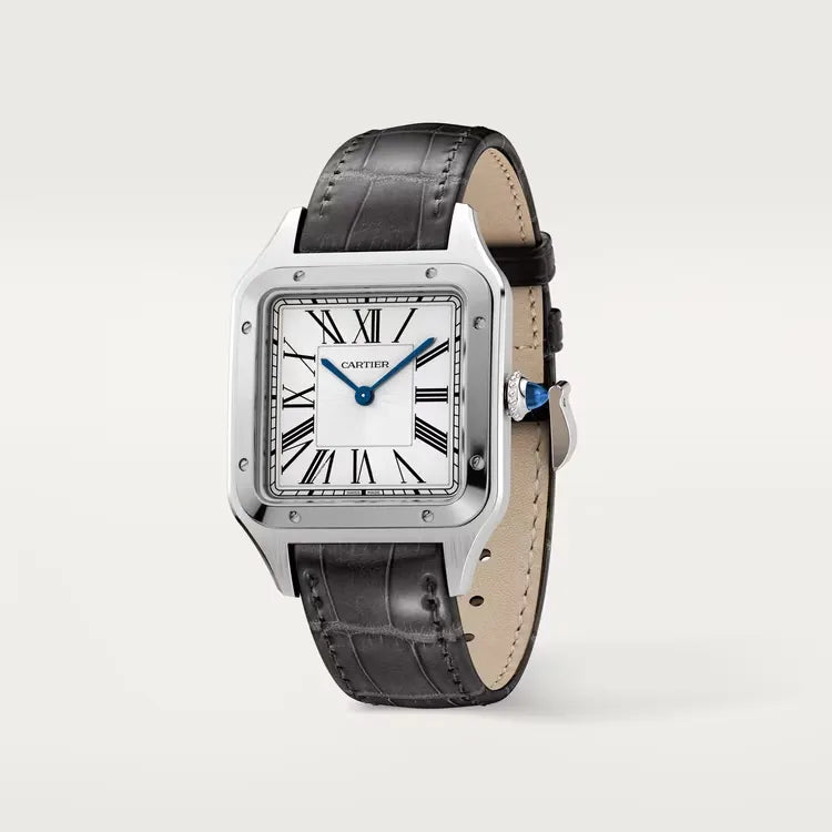 Cartier Santos-Dumont Watch 46mm WSSA0044