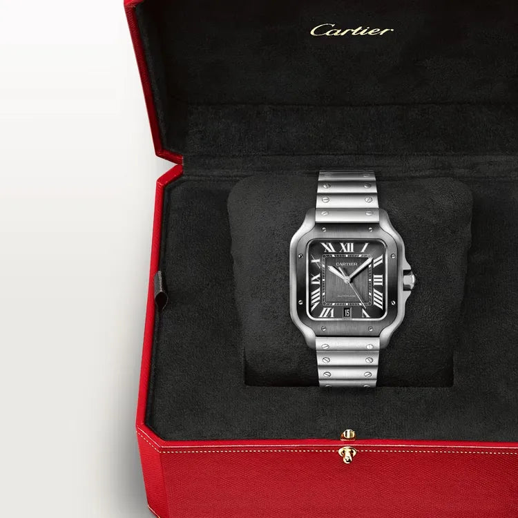 Cartier Santos Watch 39.8mm WSSA0037