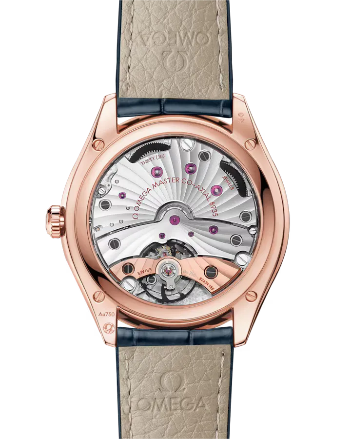 Omega De Ville Trésor Watch 40mm 435.53.40.22.03.001
