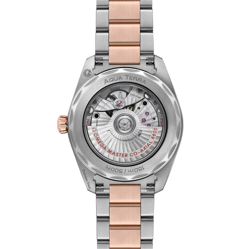 Omega Seamaster Aqua Terra 150M Watch 38mm 220.20.38.20.06.001