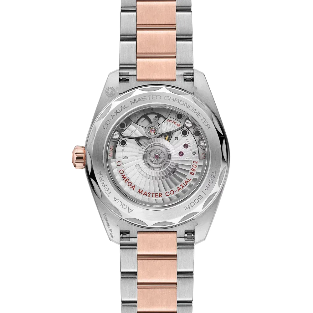 Omega Seamaster Aqua Terra 150M Watch 38mm 220.20.38.20.10.001