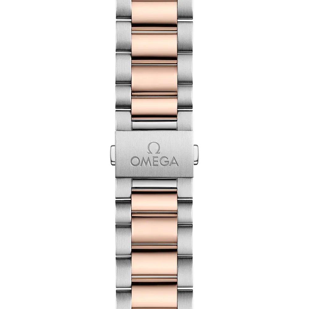 Omega Seamaster Aqua Terra 150M Watch 38mm 220.20.38.20.10.001