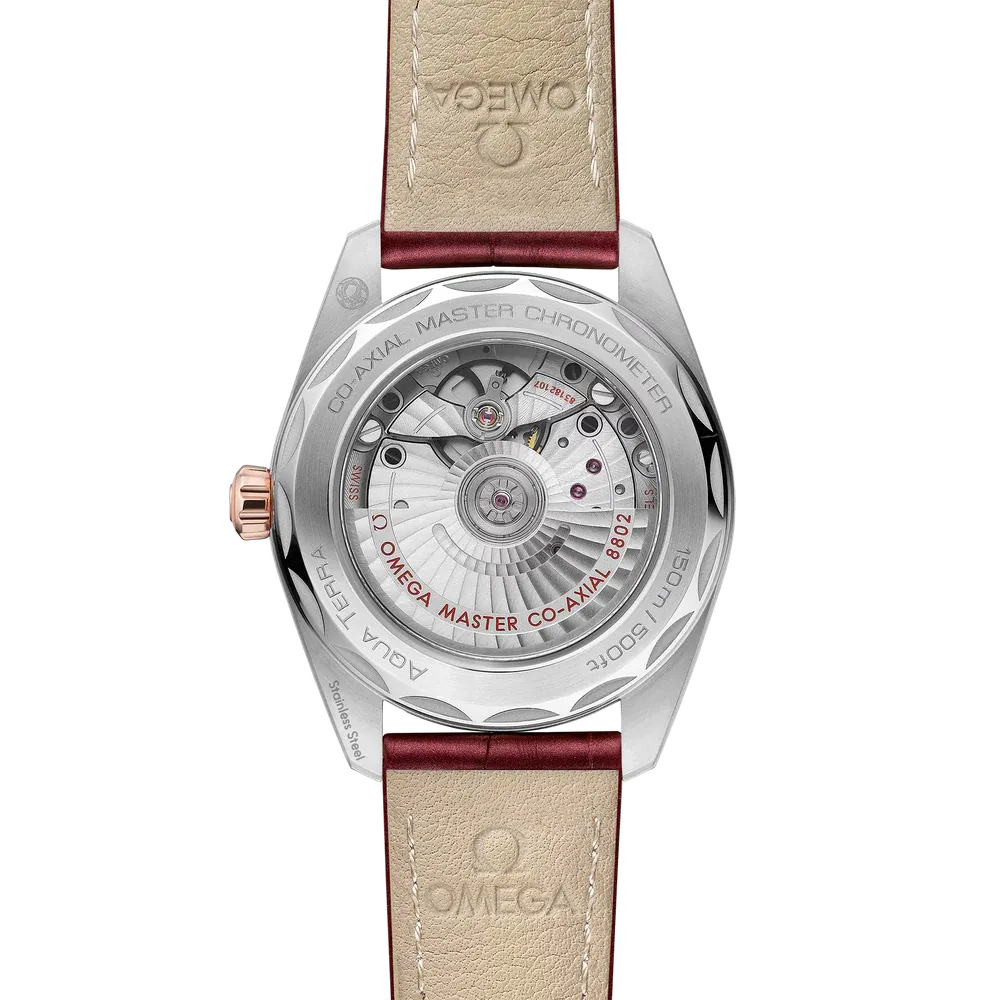 Omega Seamaster Aqua Terra 150M Watch 38mm 220.23.38.20.59.001