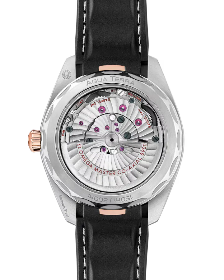 Omega Seamaster Aqua Terra 150M Watch 41mm 220.22.41.21.02.001