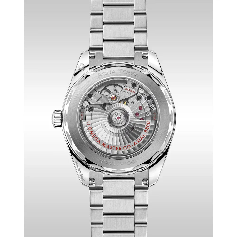 Omega Seamaster Aqua Terra Watch 38mm 220.10.38.20.01.004