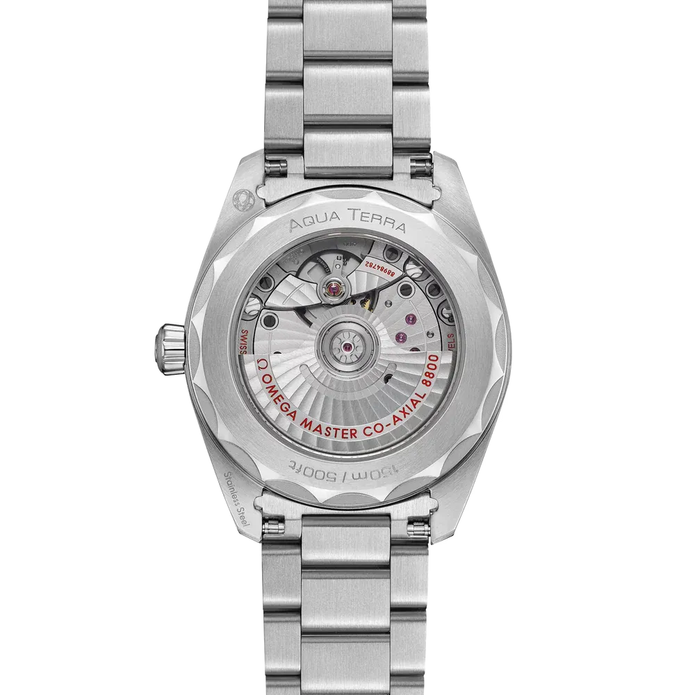 Omega Seamaster Aqua Terra Watch 38mm 220.10.38.20.10.003