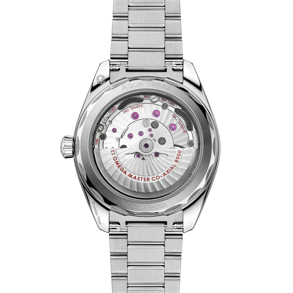 Omega Seamaster Aqua Terra Watch 41mm 220.10.41.21.01.002
