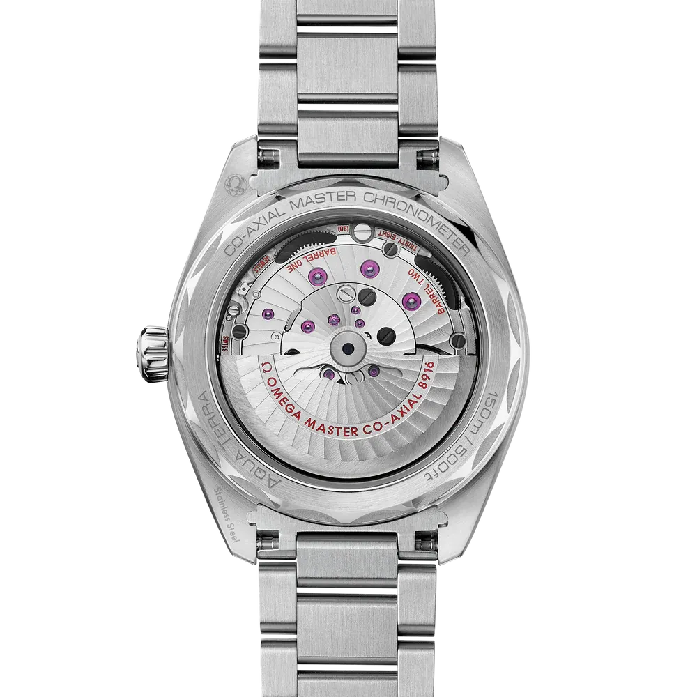 Omega Seamaster Aqua Terra Watch 41mm 220.10.41.21.02.002