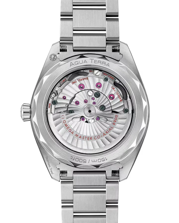 Omega Seamaster Aqua Terra Watch 41mm 220.10.41.21.10.001