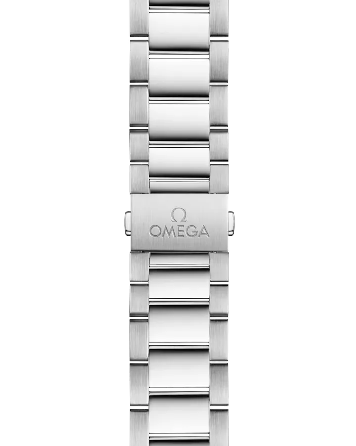 Omega Seamaster Aqua Terra Watch 41mm 220.10.41.21.10.001