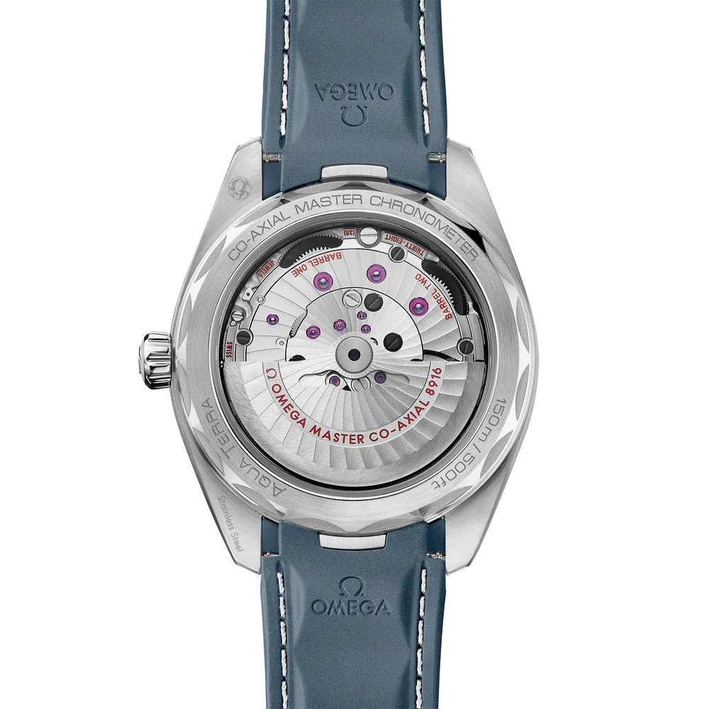 Omega Seamaster Aqua Terra Watch 41mm 220.12.41.21.03.005