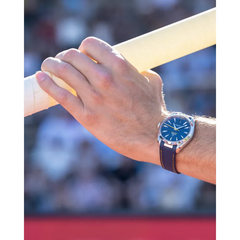 Omega Seamaster Aqua Terra Watch 41mm 220.12.41.21.03.009