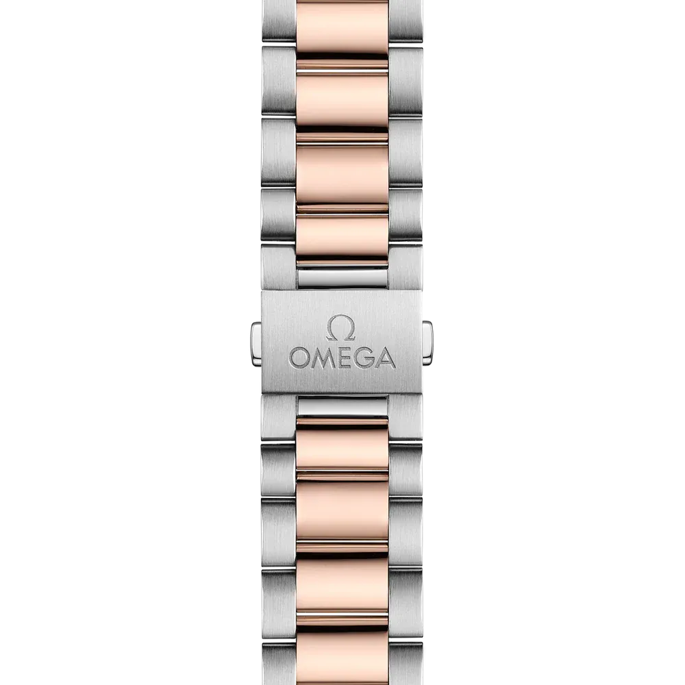 Omega Seamaster Aqua Terra Watch 41mm 220.20.41.21.02.001