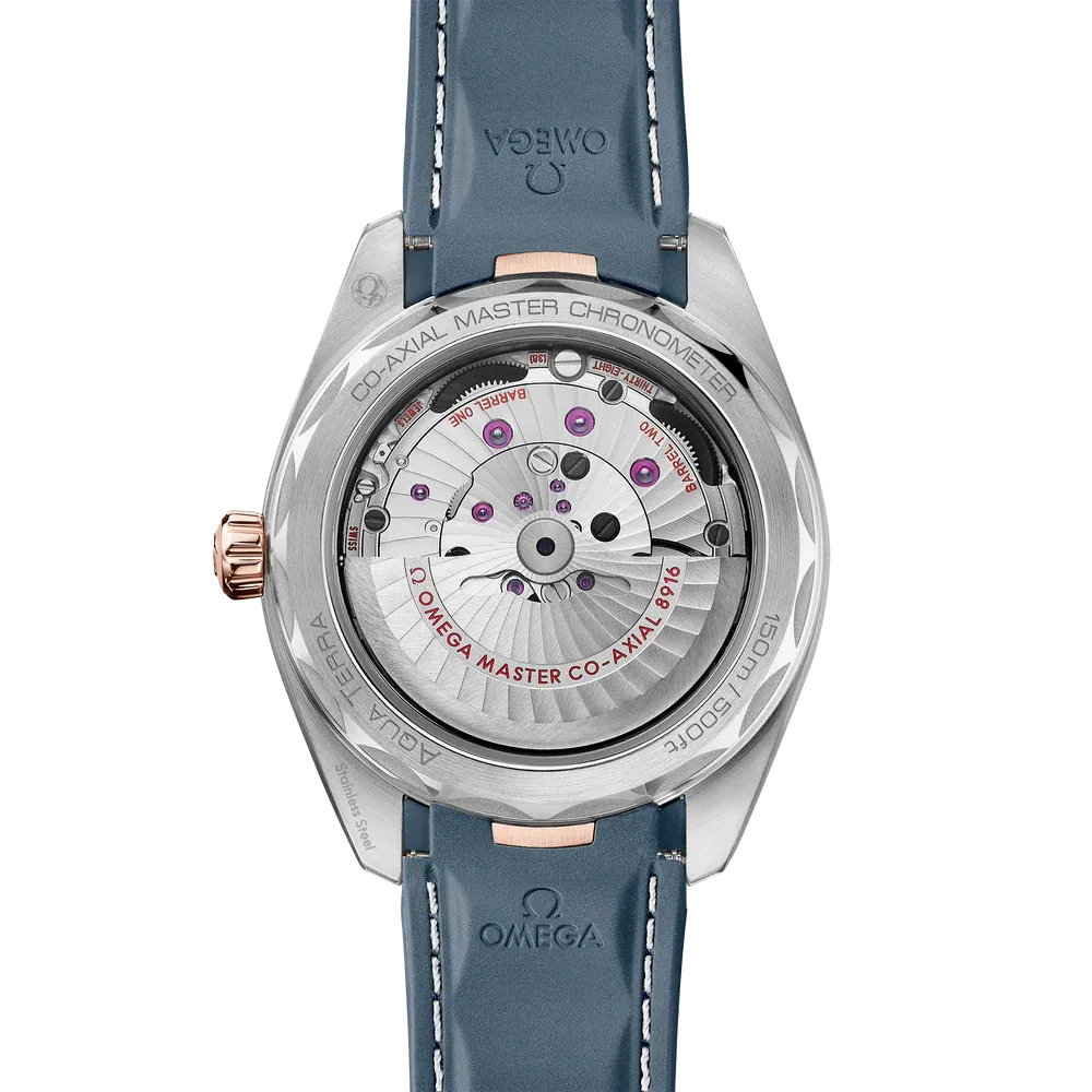 Omega Seamaster Aqua Terra Watch 41mm 220.22.41.21.03.001
