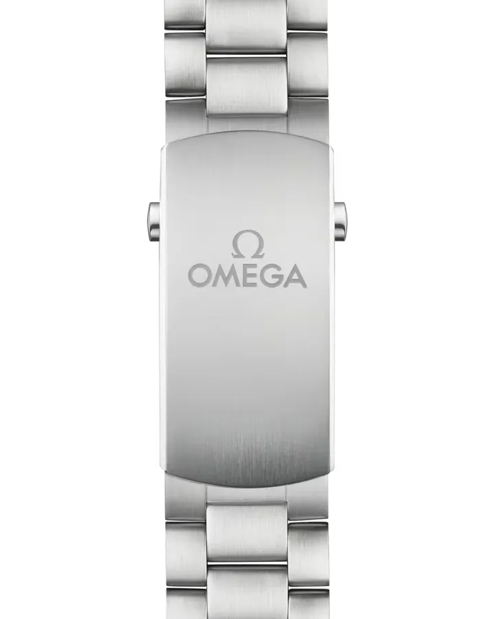 Omega Seamaster Planet Ocean 600M Watch 45.5mm 215.30.46.51.99.001
