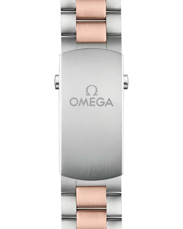 Omega Seamaster Planet Ocean Watch 45.5mm 215.20.46.51.03.001