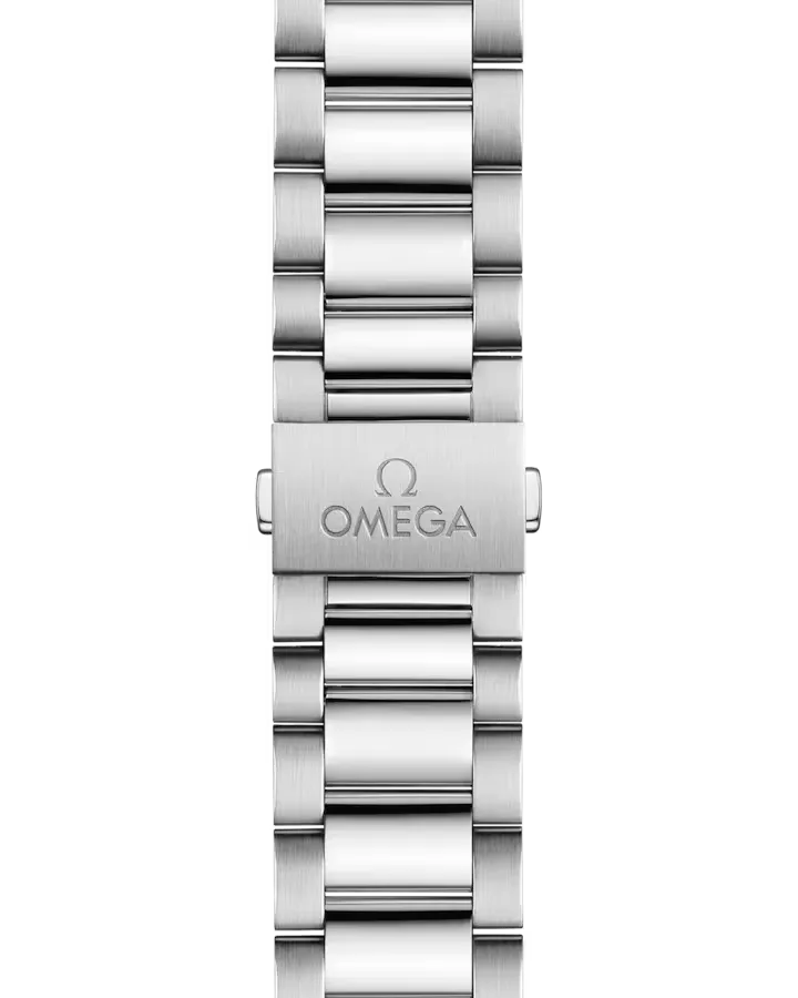 Omega Seamaster Watch 38mm 220.10.38.20.10.001