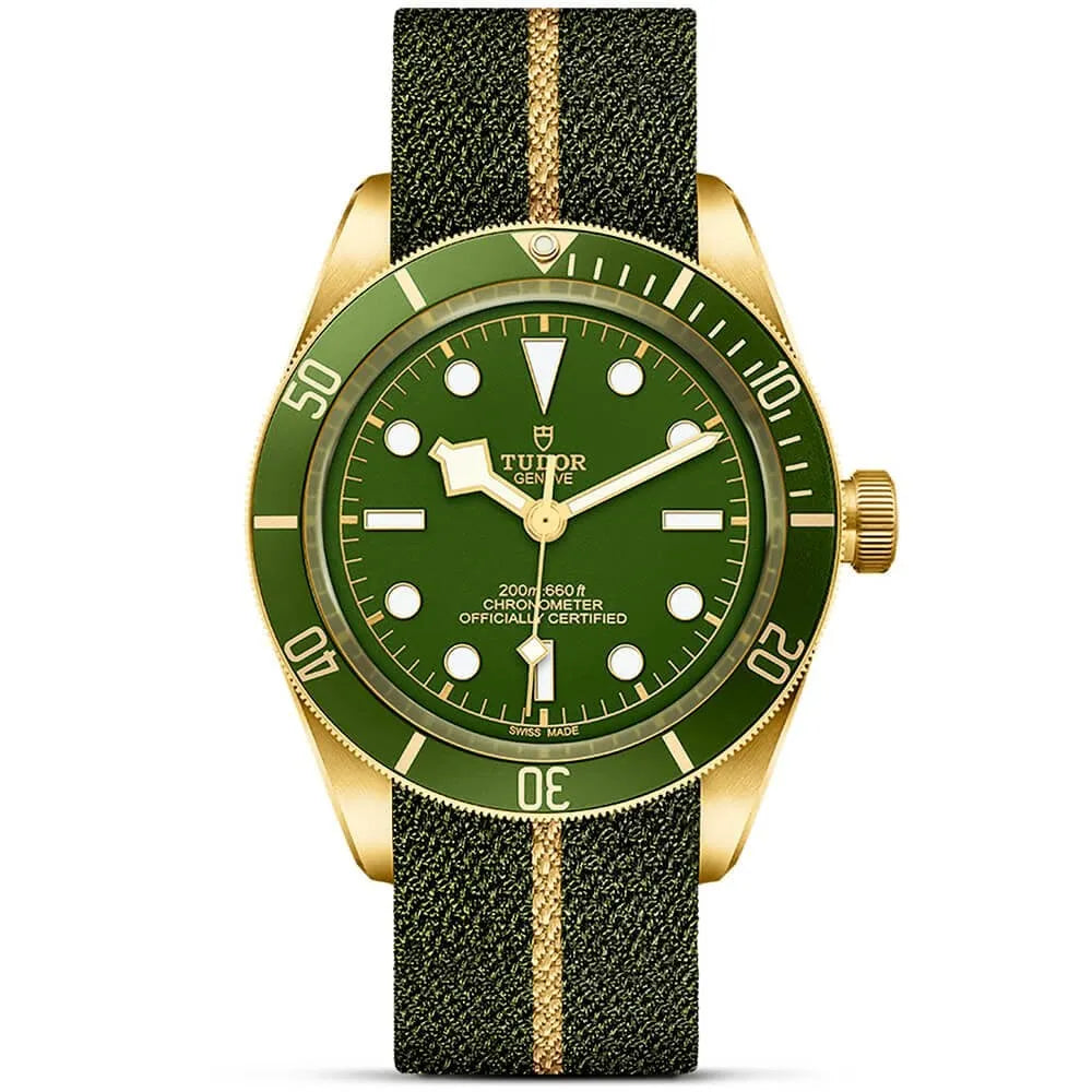 Tudor Black Bay 58 18K Watch 39mm M79018V-0001