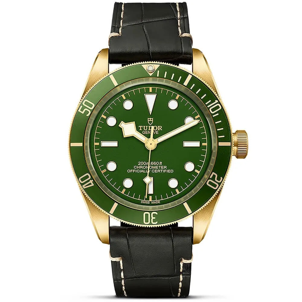 Tudor Black Bay 58 18K Watch 39mm M79018V-0001