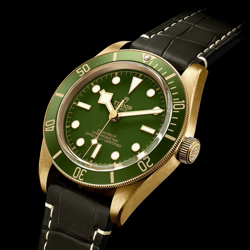 Tudor Black Bay 58 18K Watch 39mm M79018V-0001