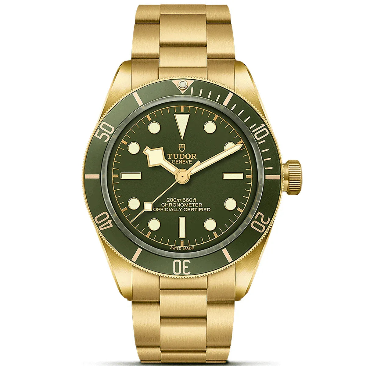 Tudor Black Bay 58 18K Watch 39mm M79018V-0006