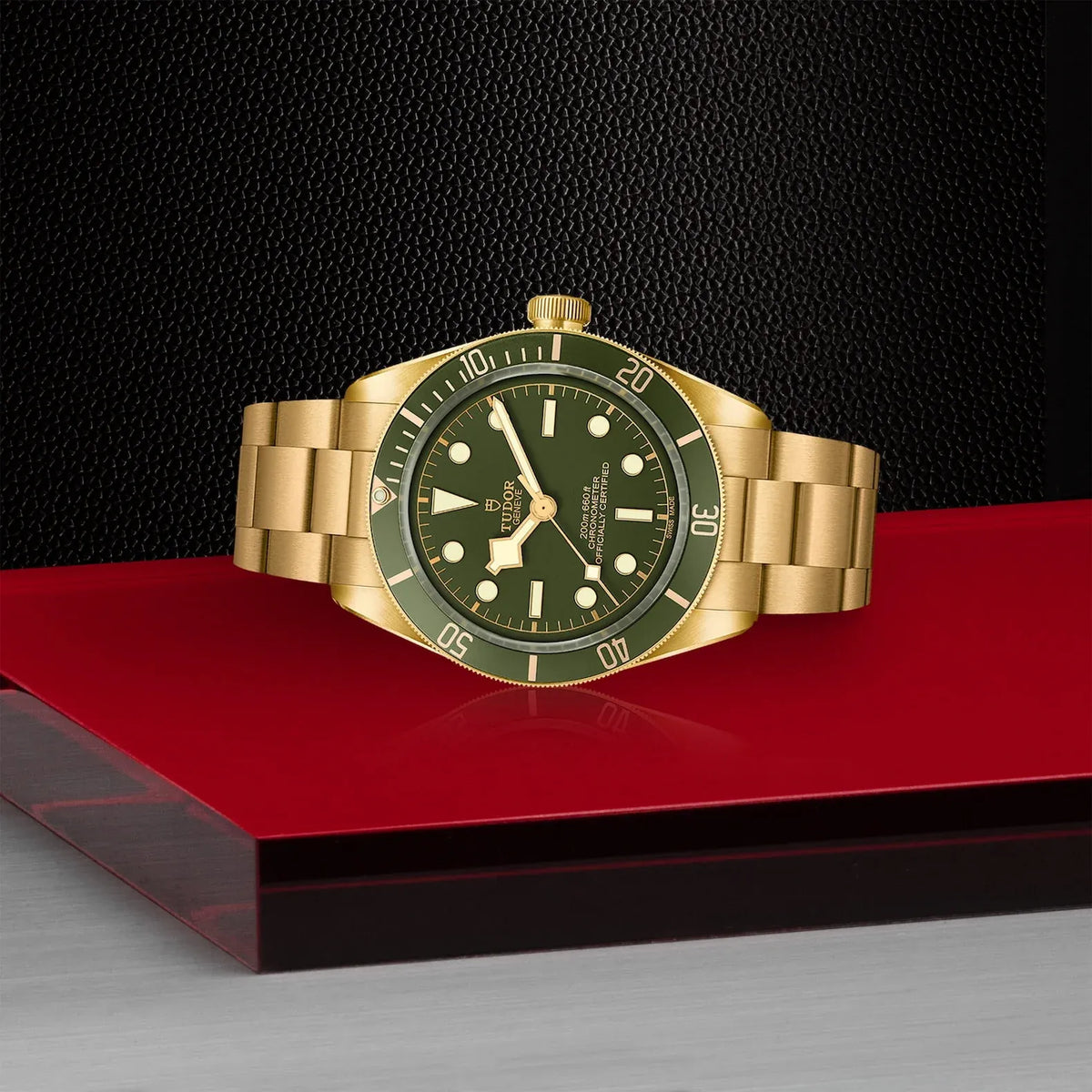 Tudor Black Bay 58 18K Watch 39mm M79018V-0006