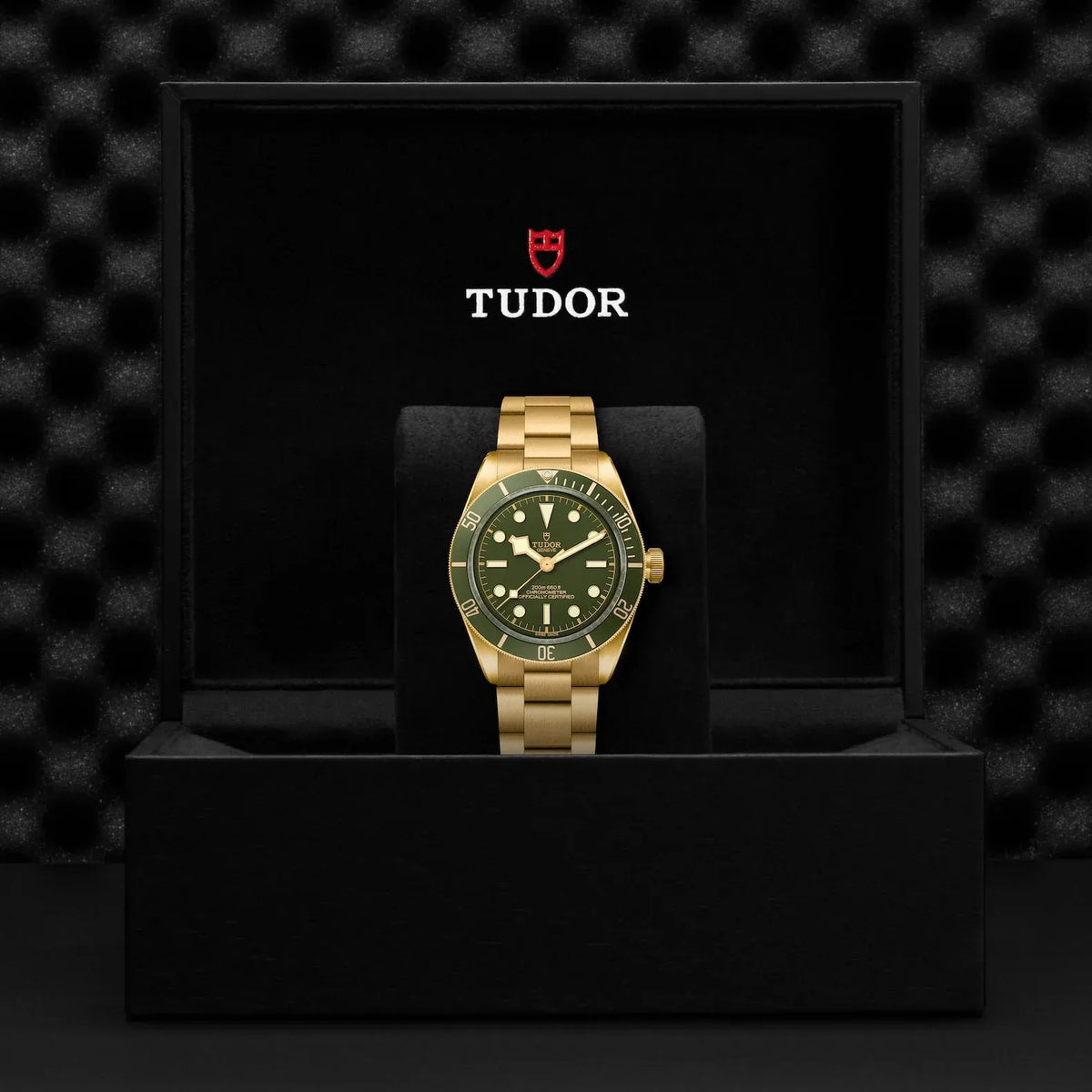 Tudor Black Bay 58 18K Watch 39mm M79018V-0006