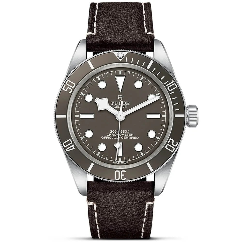 Tudor Black Bay 58 Watch 39mm M79010SG-0001
