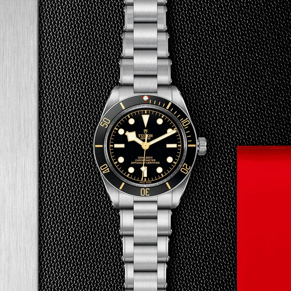 Tudor Black Bay 58 Watch 39mm M79030N-0001
