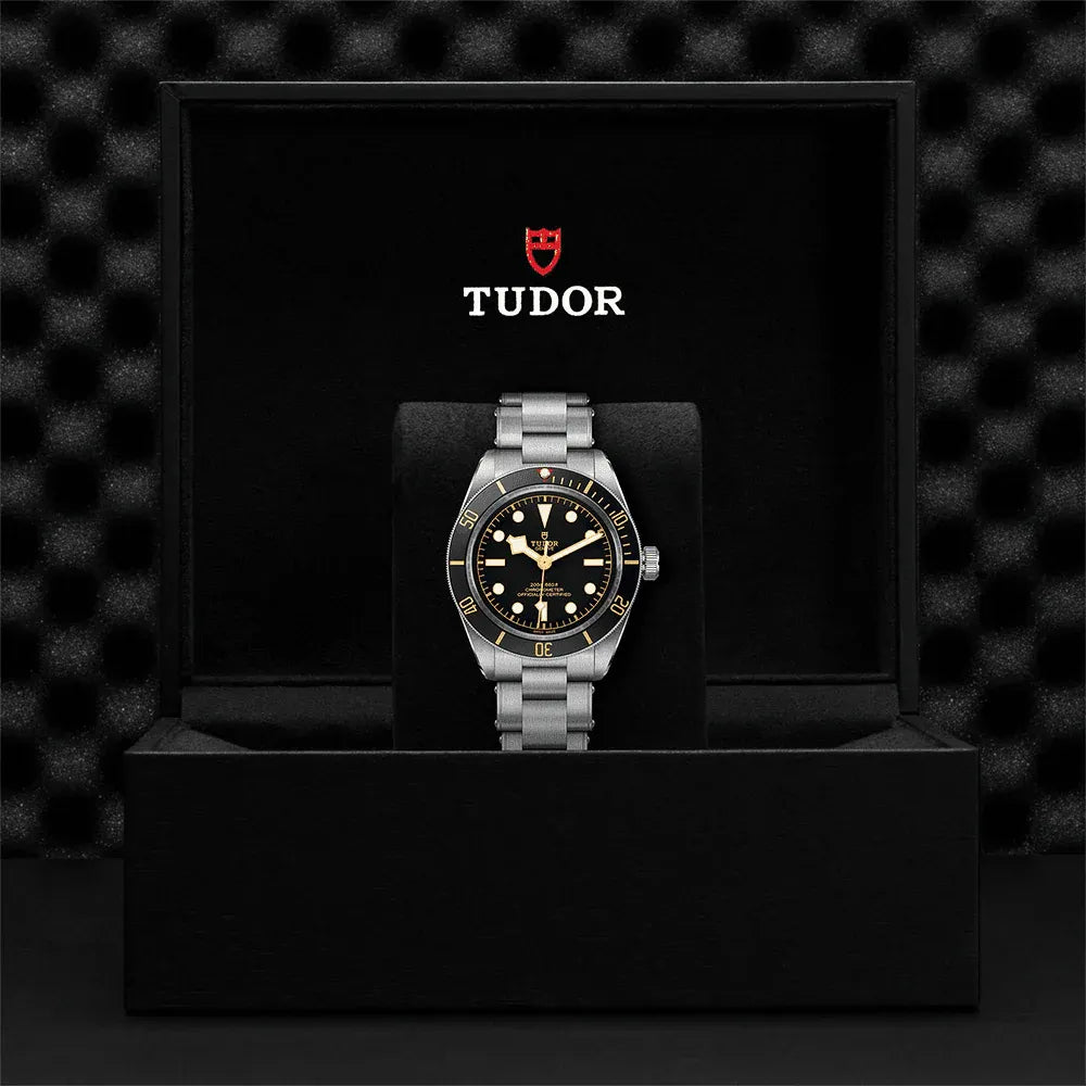 Tudor Black Bay 58 Watch 39mm M79030N-0001