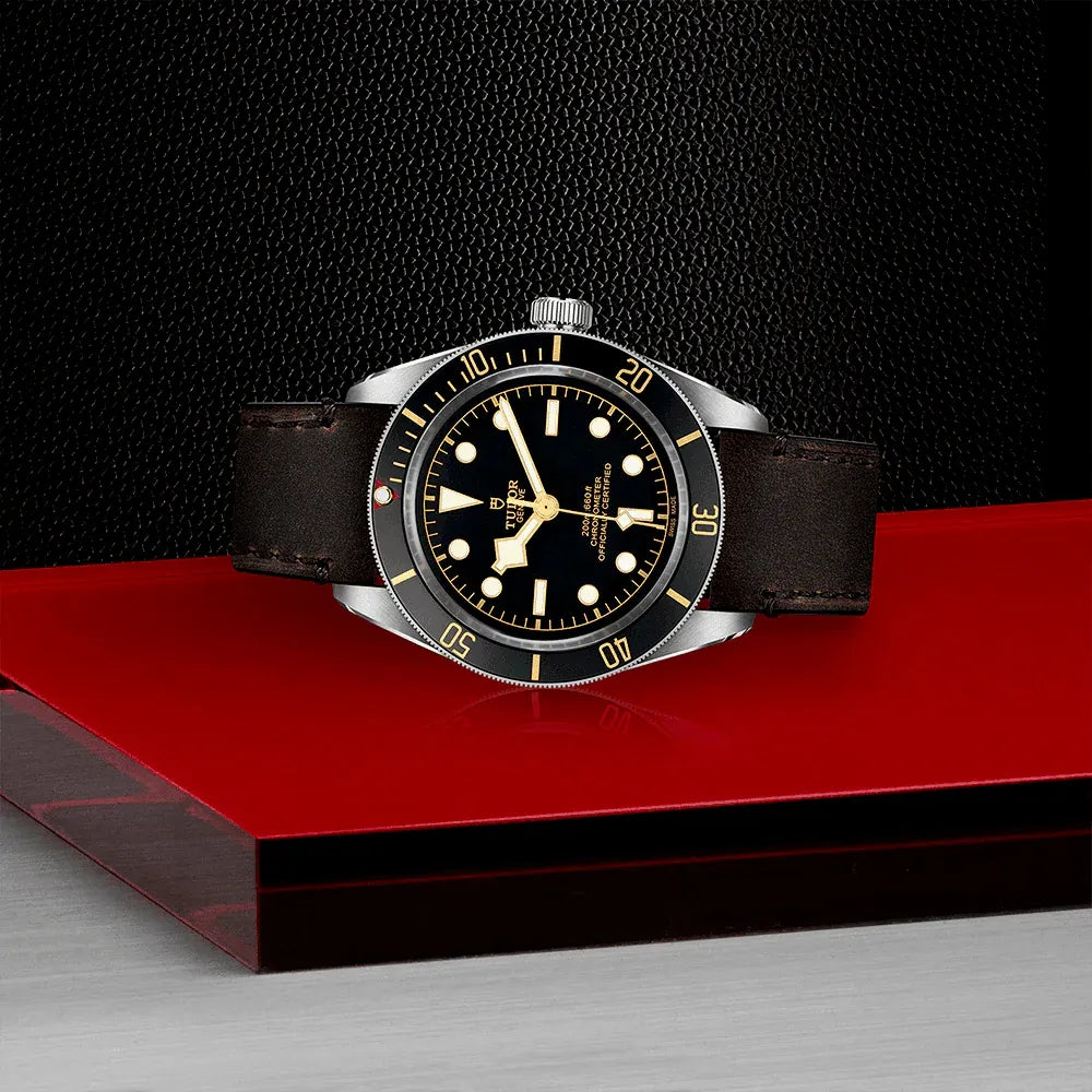 Tudor Black Bay 58 Watch 39mm M79030N-0002