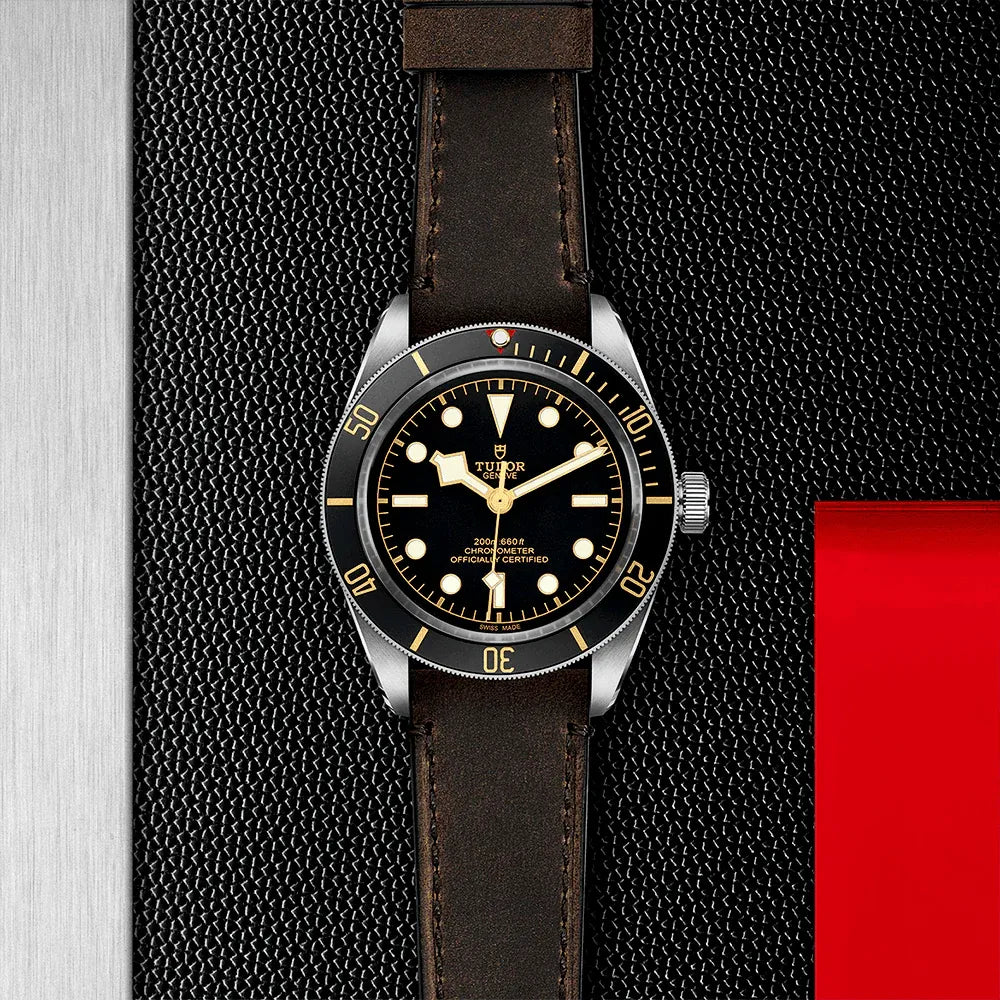 Tudor Black Bay 58 Watch 39mm M79030N-0002