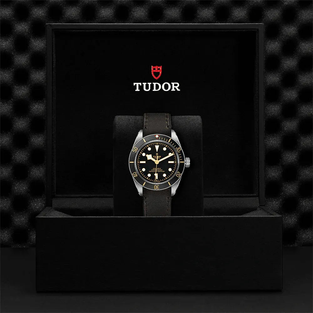 Tudor Black Bay 58 Watch 39mm M79030N-0002