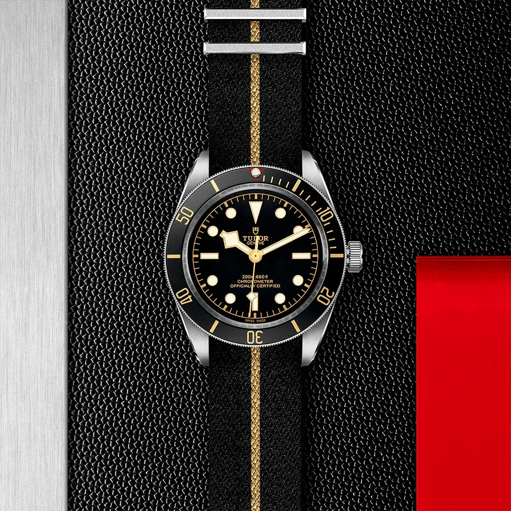 Tudor Black Bay 58 Watch 39mm M79030N-0003