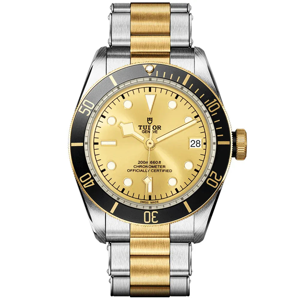 Tudor Black Bay S&G Watch 41mm M79733N-0004