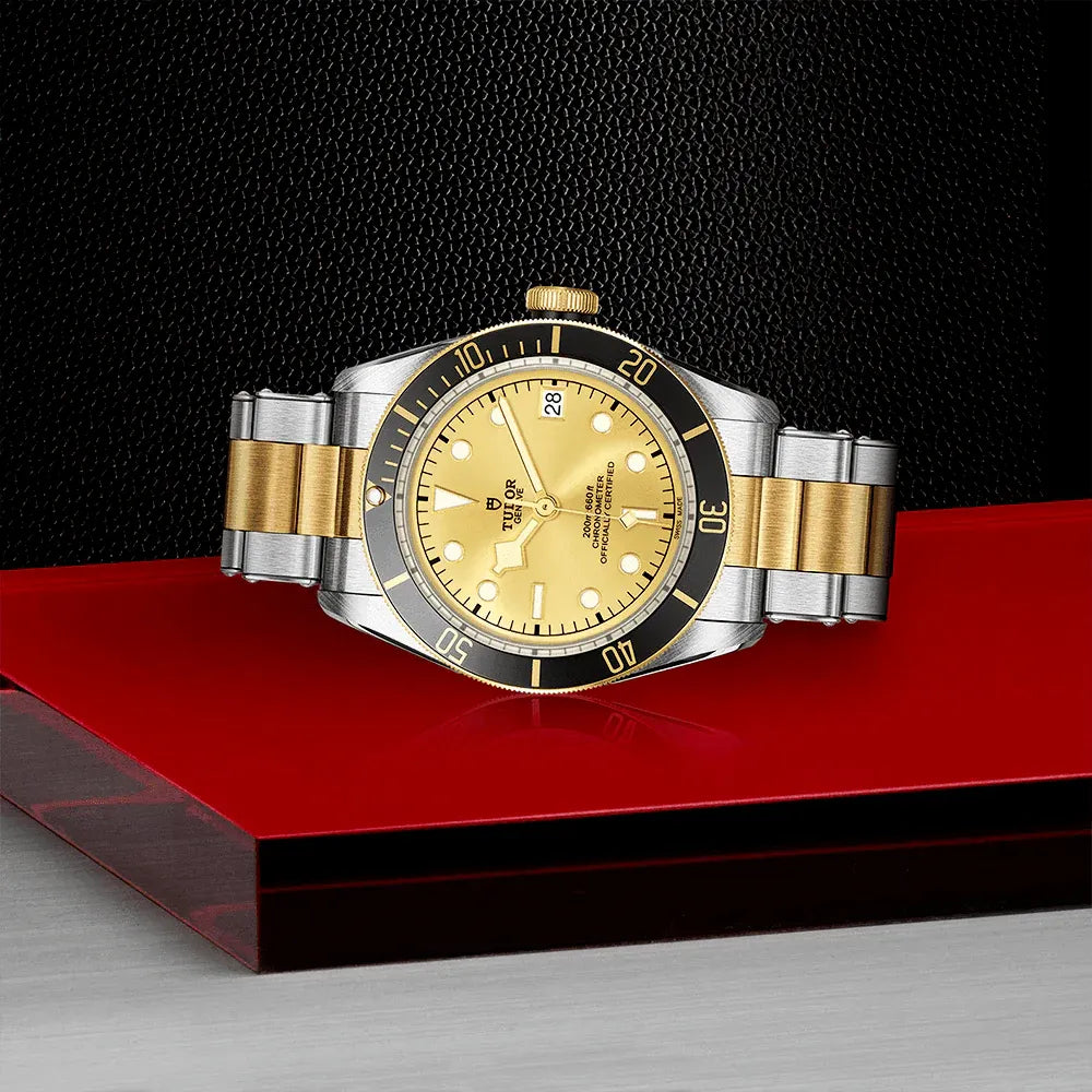 Tudor Black Bay S&G Watch 41mm M79733N-0004