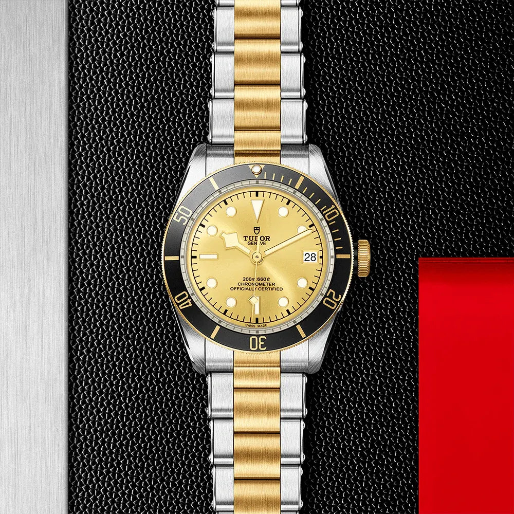 Tudor Black Bay S&G Watch 41mm M79733N-0004