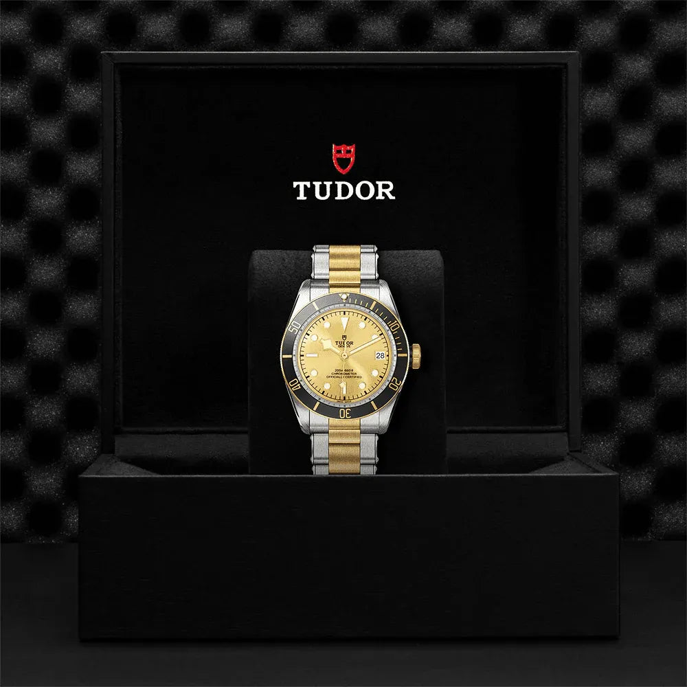 Tudor Black Bay S&G Watch 41mm M79733N-0004